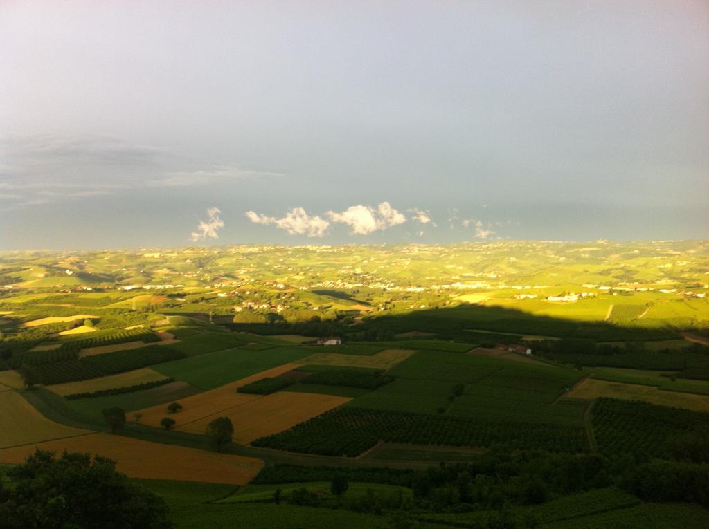 Ferienwohnung La Vigna Del Parroco Verduno Zimmer foto